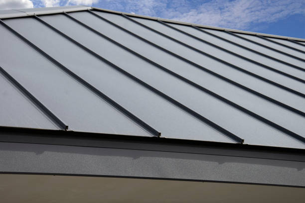 Best Flat Roofing  in Amboy, IL