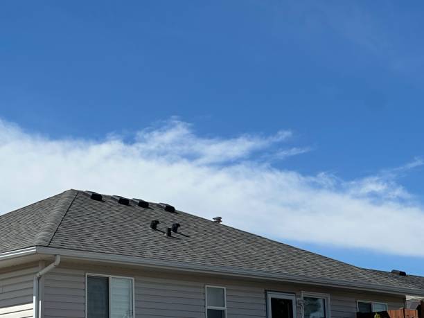 Best Roof Waterproofing  in Amboy, IL