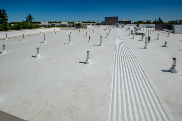 Best Roof Maintenance and Cleaning  in Amboy, IL